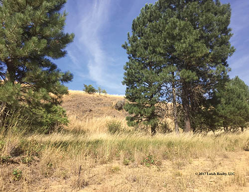 Kendrick & Juliaetta, Idaho