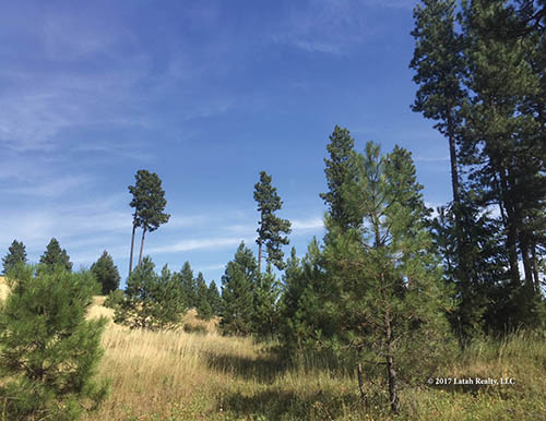 Kendrick & Juliaetta, Idaho
